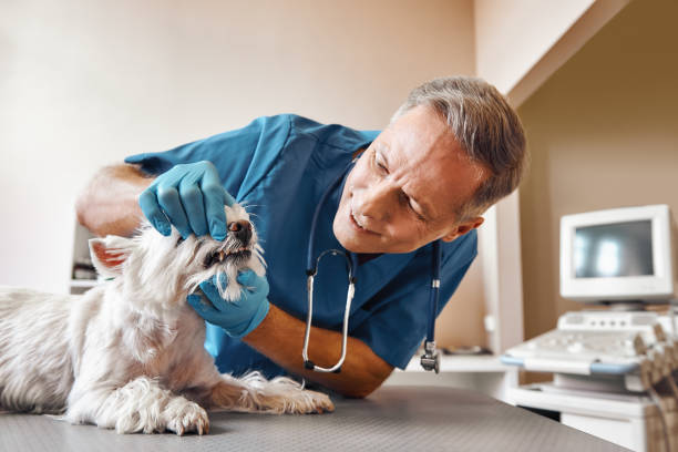 Best Emergency Wisdom Tooth Extraction in Little River, SC